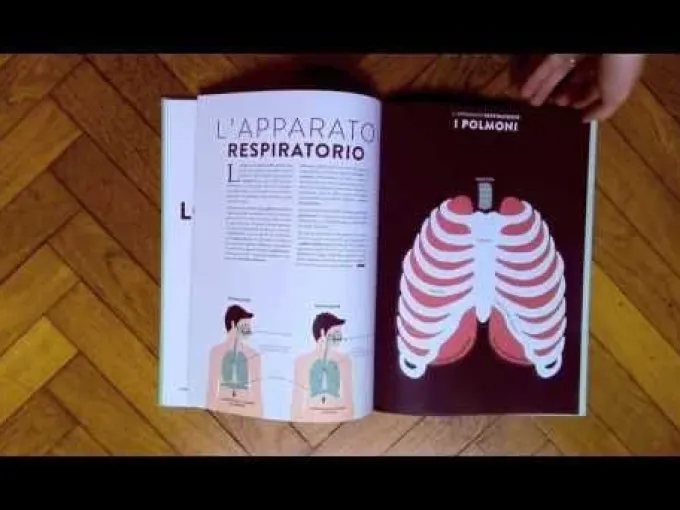 Anatomia