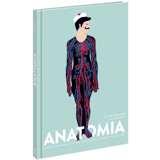 Anatomia