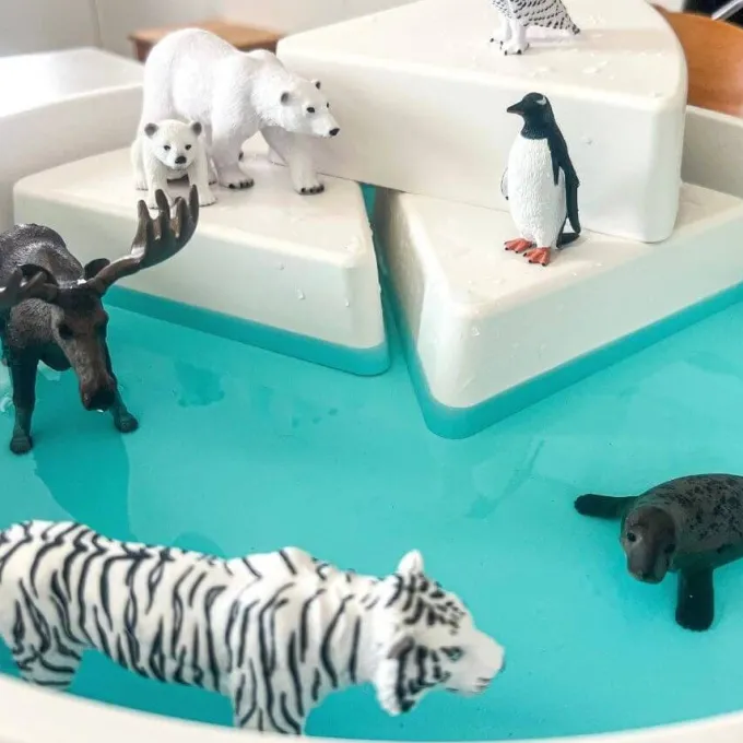 Animali dei paesi freddi - 7 pezzi