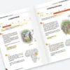 Astuccio degli argomenti di storia