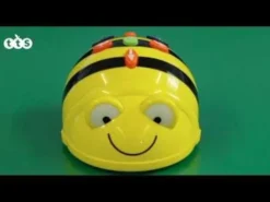 Bee-bot