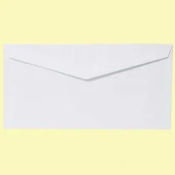 Buste bianche cm 11x23 - 500 pezzi