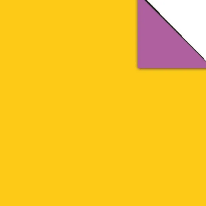 Carta origami duo colori intensi