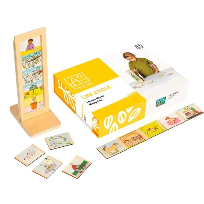 Ciclo della vita