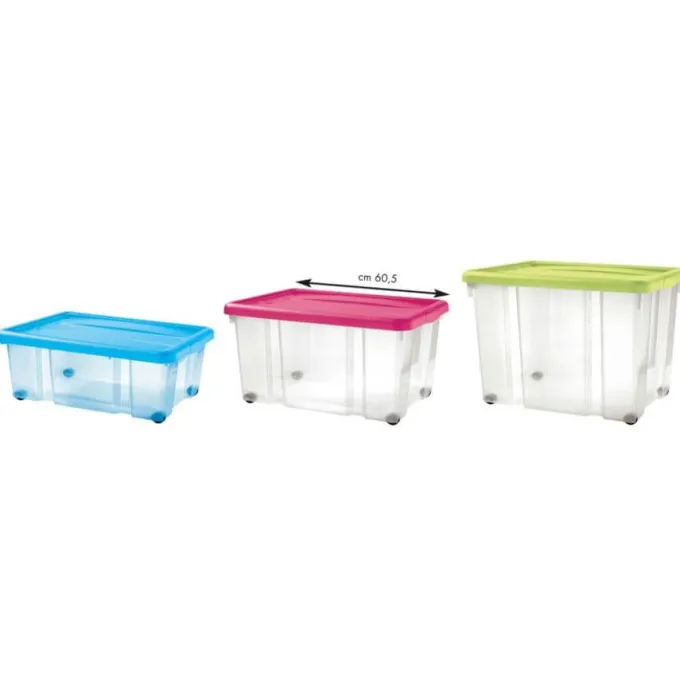 Contenitore trasparente 3 pezzi