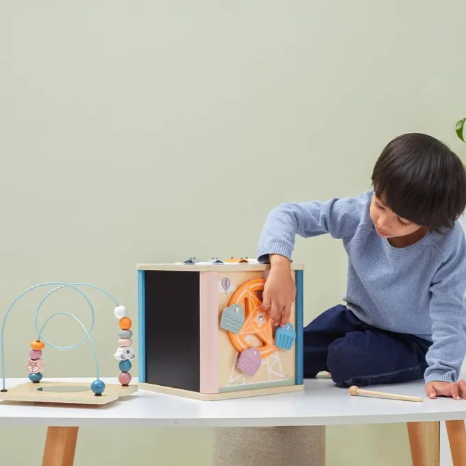 Cubo delle attivitÀ