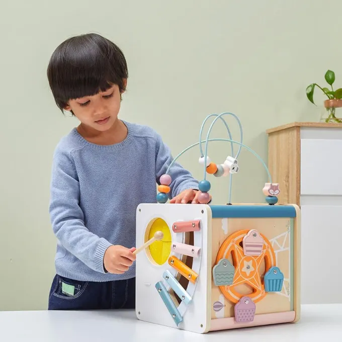 Cubo delle attivitÀ