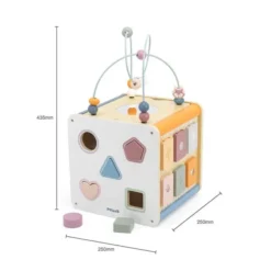 Cubo delle attivitÀ