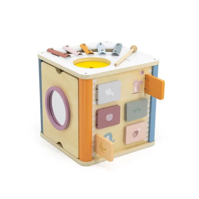 Cubo delle attivitÀ