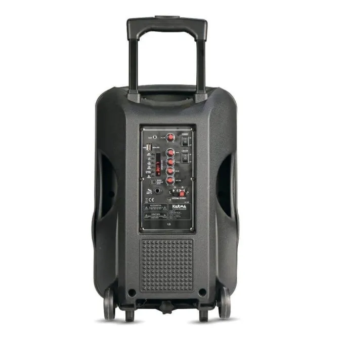 Diffusore amplificato con radiomicrofono 600w pmpo