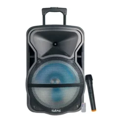 Diffusore amplificato con radiomicrofono 600w pmpo