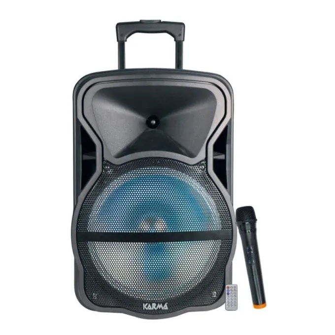 Diffusore amplificato con radiomicrofono 600w pmpo