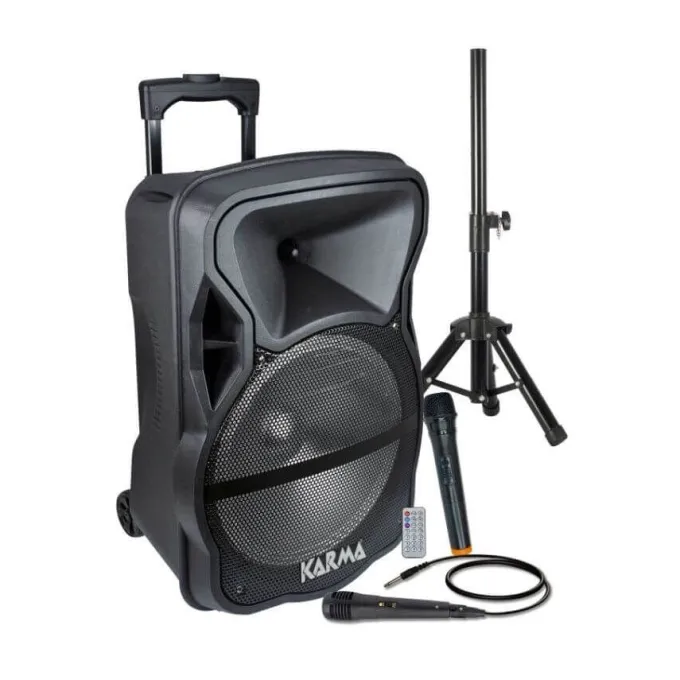 Diffusore amplificato con radiomicrofono 600w pmpo