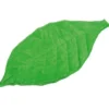 Foglia coperta ponderata