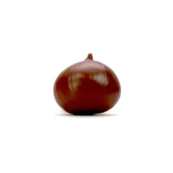 Frutta - 15 pezzi