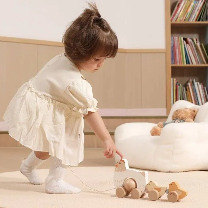 Gallina e pulcino trainabili
