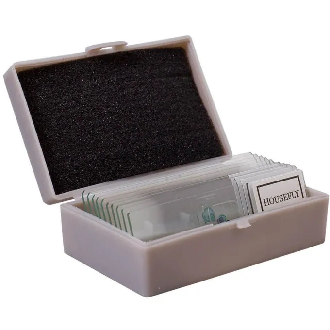 Kit esperimenti al microscopio