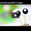 Lumaca federica trainabile passaforme