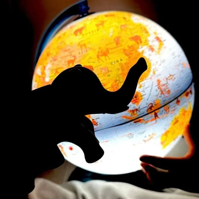 Mappamondo con animali e monumenti