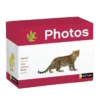 Maxi foto animali