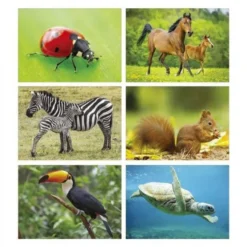 Maxi foto animali