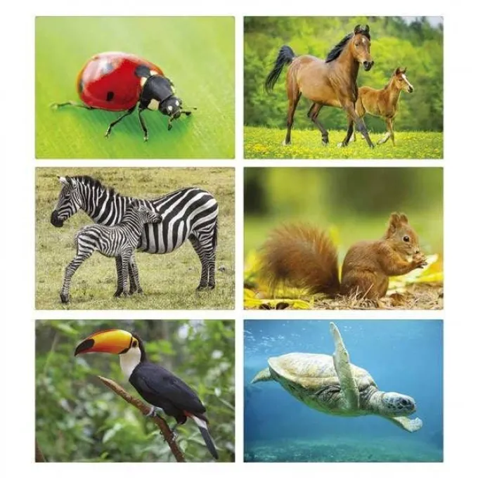 Maxi foto animali