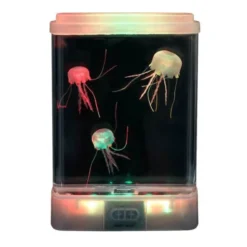 Mini acquario con meduse