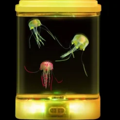 Mini acquario con meduse