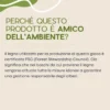 Orso delle attivita'