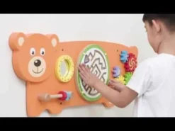 Orso delle attivita'