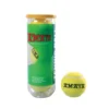 Palline da tennis