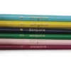 Pennelli colorati punta tonda borgione - 6 pezzi assortiti