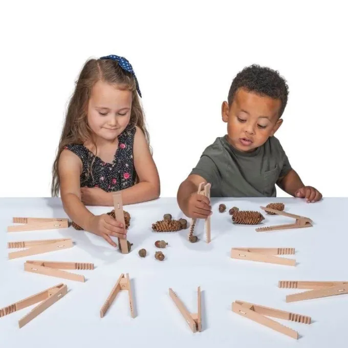 Pinzette in legno per motricità fine