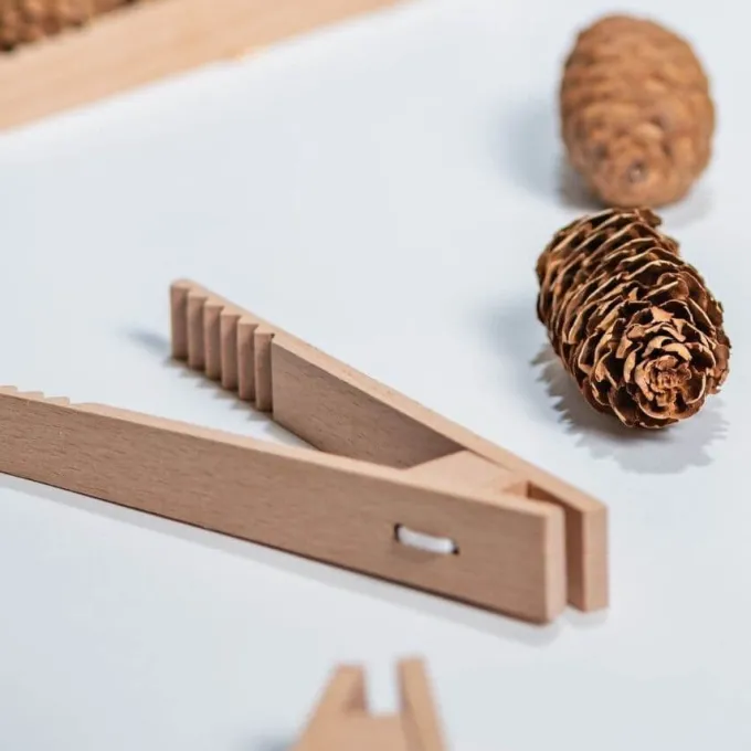 Pinzette in legno per motricità fine