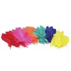 Piume colorate - 12 pezzi