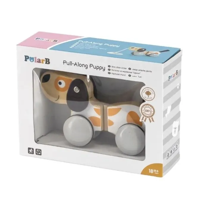 Puppy trainabile