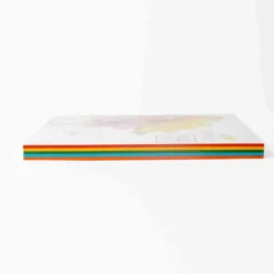 Risma scuola colori intensi borgione - 100ff 5 col 200g a3