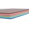 Risma scuola colori pastello borgione - 100 ff 4 col 200g a3