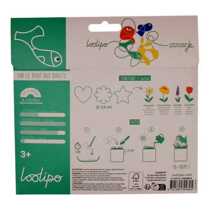 Sagome di carta con semi in 3 forme - 100 pz
