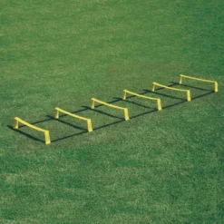 Scala agility 10 pioli