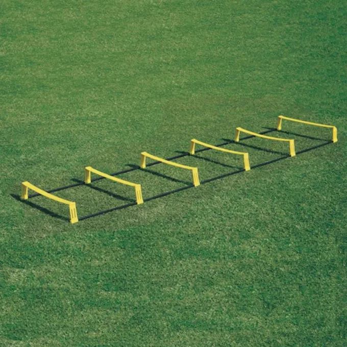 Scala agility 10 pioli
