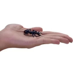 Set mini insetti