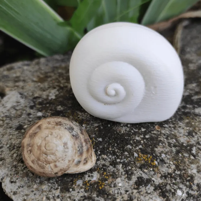 Tocca e trova della natura