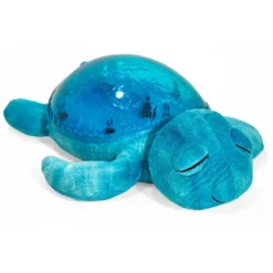 Tranquil turtle