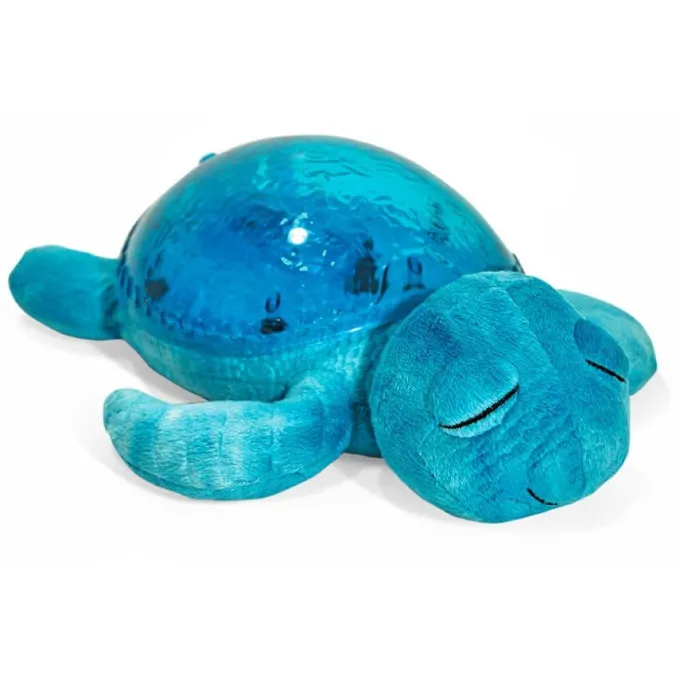 Tranquil turtle
