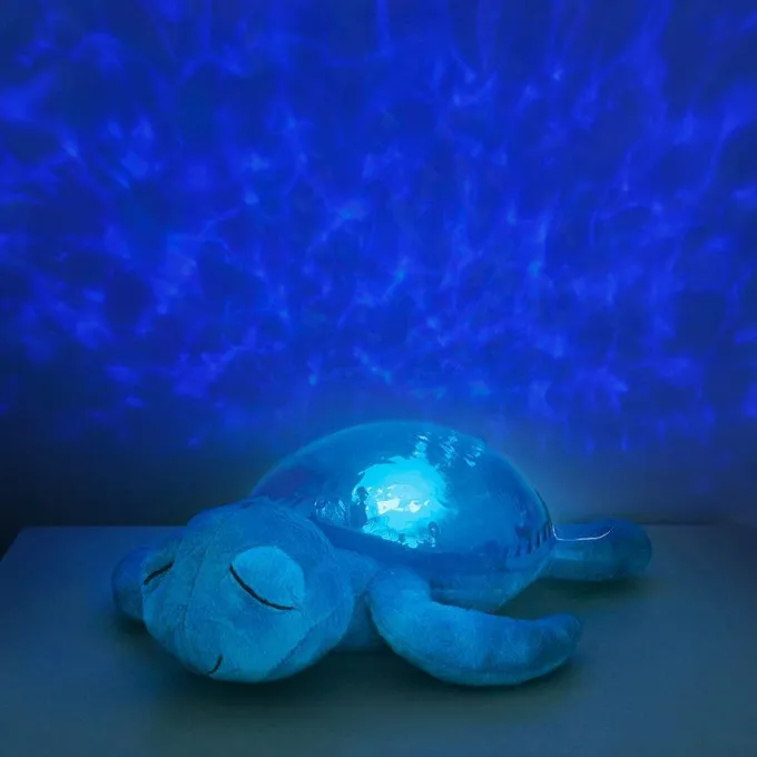 Tranquil turtle
