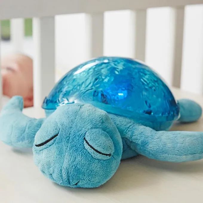 Tranquil turtle