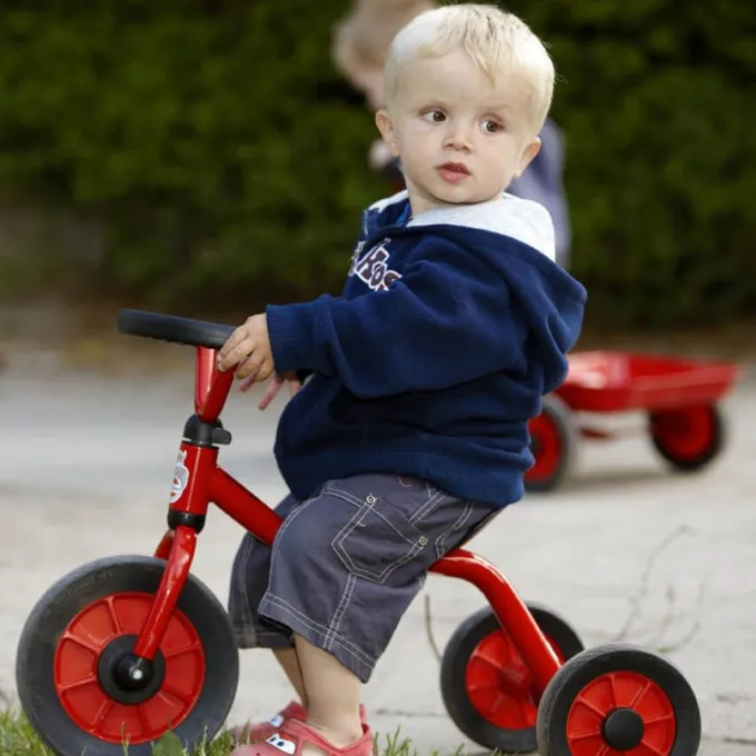 Triciclo push car